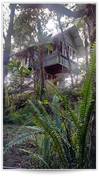 Brent Norris Treehouse in Hawaii