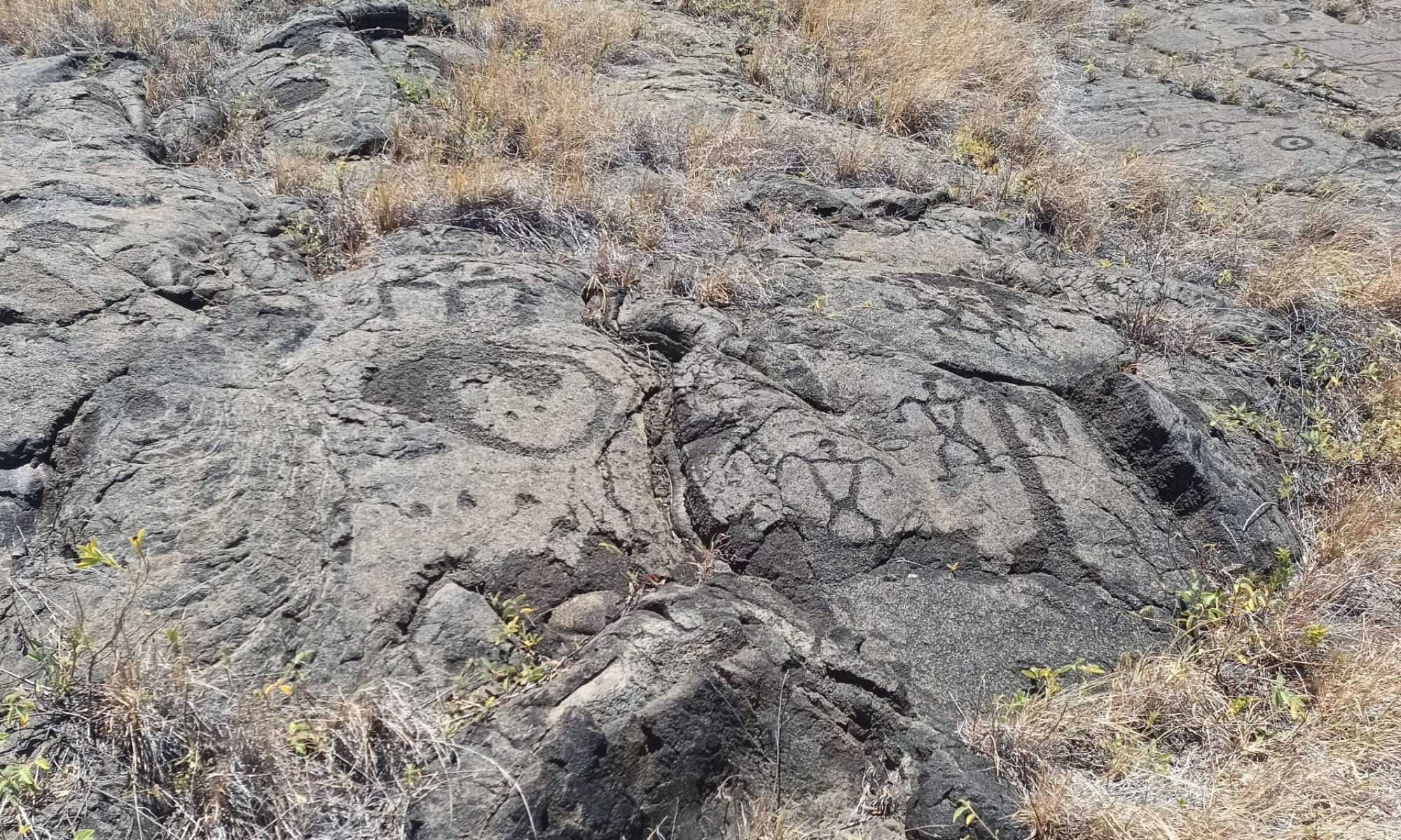 Volcano National Park Petroglyphs